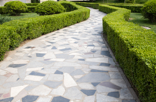 shot of a flagstone path in the grass