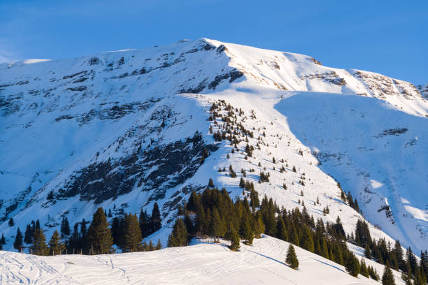 das mont-blanc-massiv zwischen dem mont joly und dem croche-aal und seinen wäldern in europa, frankreich, rhône alpes, savoyen, den alpen, im winter, an einem sonnigen tag. - mont blanc ski slope european alps mountain range stock-fotos und bilder