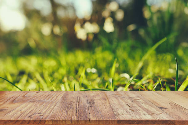 istock Empty rustic table in front of countryside background. product display and picnic concept 1380991119
