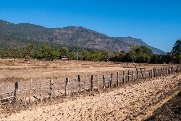 istock Dried rice fields. Southern Laos countryside. Long drought period 1380993830