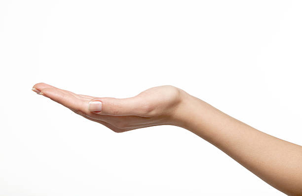 istock Female Hand reaching out in a white space 138100377
