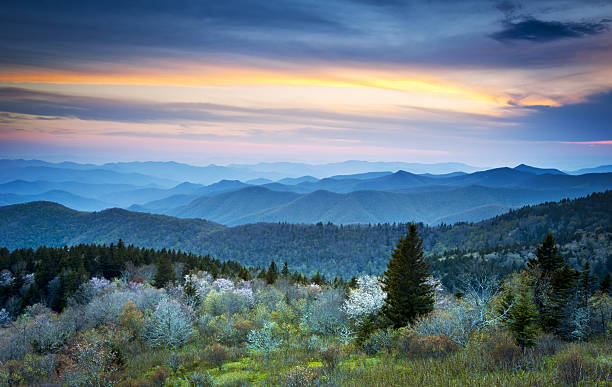Scenic Blue Ridge Parkway Appalachians Smoky Mountains Spring Landscape Scenic Blue Ridge Parkway Appalachians Smoky Mountains Spring Landscape with May blossoms great smoky mountains photos stock pictures, royalty-free photos & images