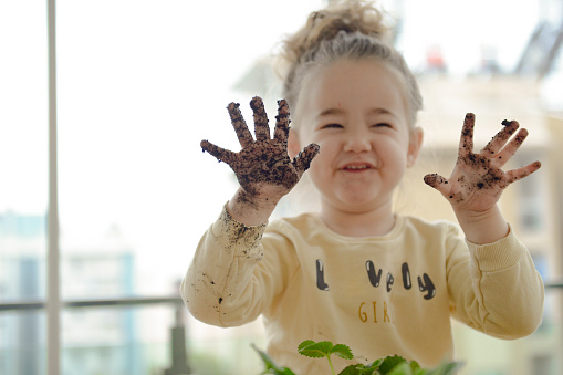 Cute little girl planting strawberries in green pots. Baby girl planting strawberries on the balcony. Baby girl planting strawberries on the balcony in spring. Organic farming  on the balcony. cute baby girl whose fingers are soiled with soil
