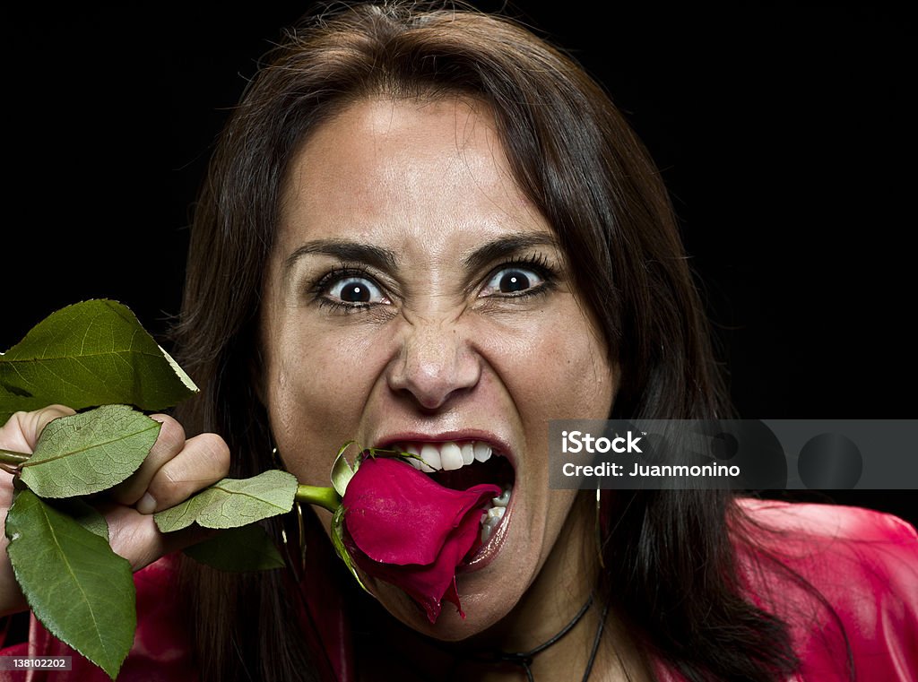 jealous hispanic woman biting a rose jealous hispanic woman biting a rose on black background (this picture has been taken with a Hasselblad H3D II 31 megapixels camera) Evil Stock Photo