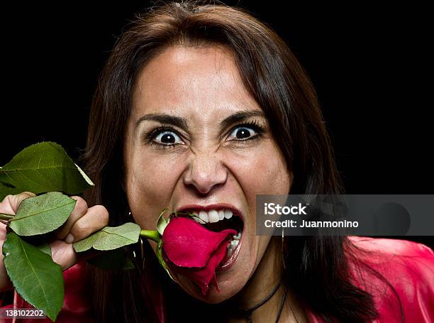 Jealous Hispanic Woman Biting A Rose Stock Photo - Download Image Now - Evil, Flower, Holding