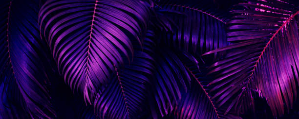 istock purple tropical palm leaf background 1381025885