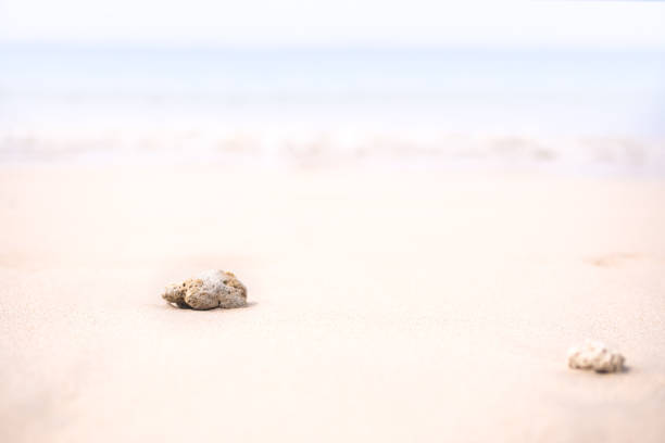 Soft focus Stone on sand beach at coast with  blur blue sea and blue sky. nature outdoor landscape background. tourism vacation travel tropical summer season ocean in holidays concept.