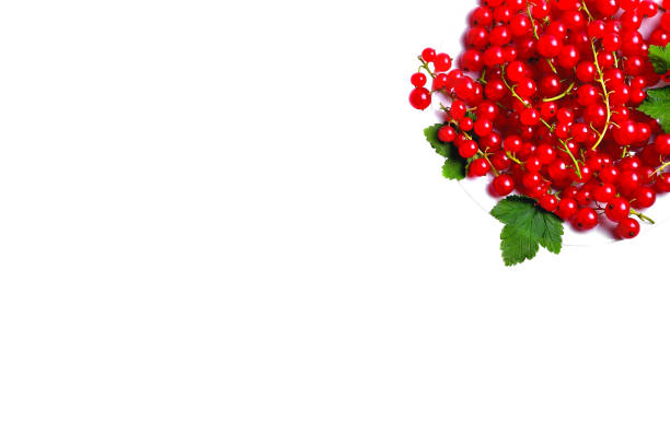 branches of red currants in a white wooden box on a white background, blank for creativity, close-up selective focus