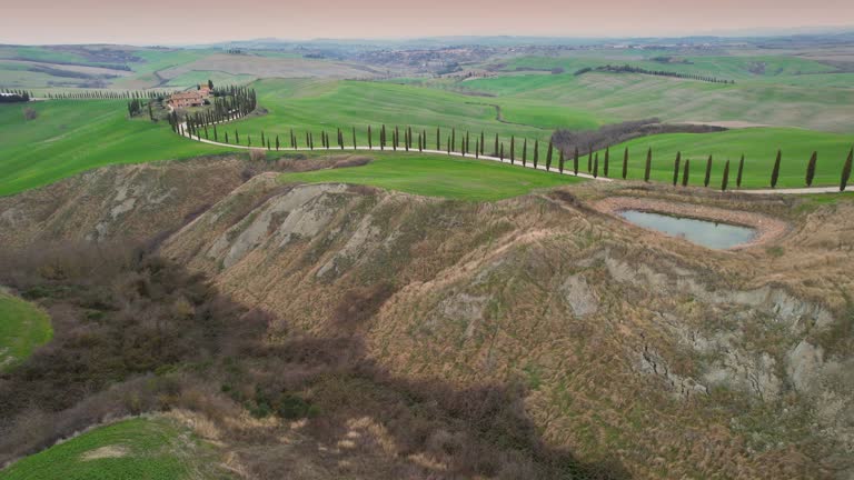 Aerial view of green hills and gravel road with cypress trees near Asciano. Val d'Orcia, Siena Province. Italy