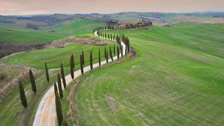 circular aerial view of green hills and gravel road with cypress trees near Asciano. Val d'Orcia, Siena Province. Italy