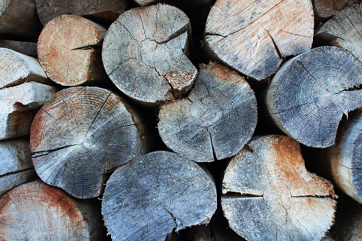 Old woodpile of firewood. Front view. Close-up. Background. Texture.