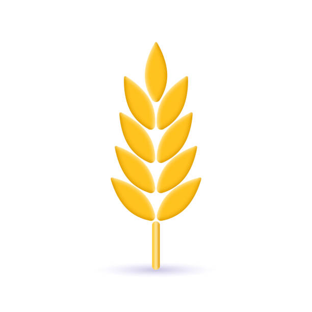weizen 3d-symbol. getreide, gerste, getreidepflanzenzeichen. symbol der landwirtschaft. vektorillustration. - wheat cereal plant oat crop stock-grafiken, -clipart, -cartoons und -symbole