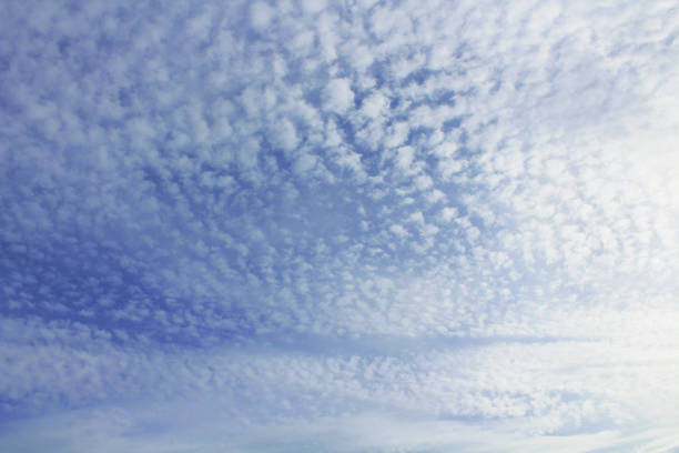 piękne żywe chmury cirrus cumulus. tło. krajobraz. - cirrostratus zdjęcia i obrazy z banku zdjęć