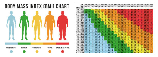Body Masse index chart, vector illustration Body Masse index chart, BMI in vector format obesity stock illustrations