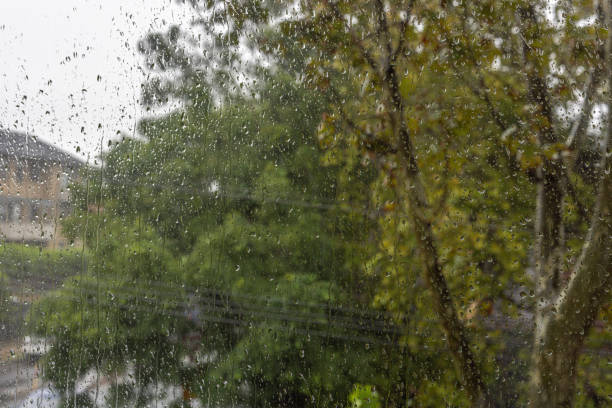 istock Raindrops on window with blurred trees in the background 1381074694