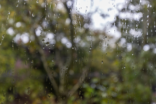 Tight close-up of raindrops on a house window with blurred greenery in the background.