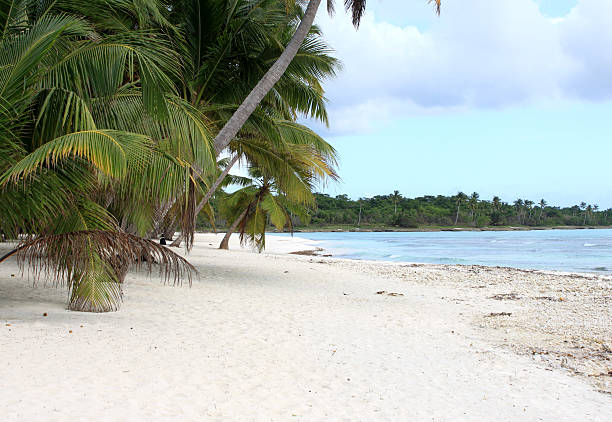 istock Beach at Caribbean Sea 138109229