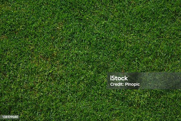 Wet French Grass Beautiful Background Stock Photo - Download Image Now - Agricultural Field, Agriculture, Backgrounds