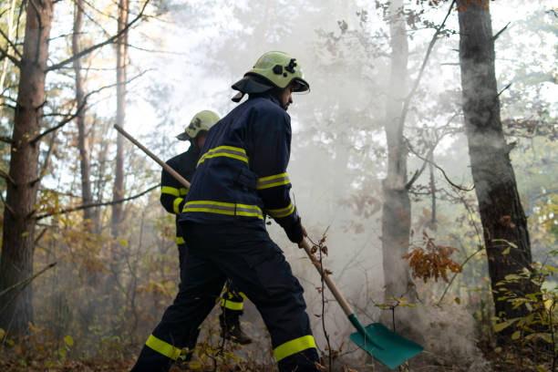 istock Firefighters men at action, running through smoke with shovels to stop fire in forest. 1381109928