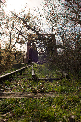 A railway rail leads the gaze to an old rusty iron bridge, the branch of a tree seems to cut the train.