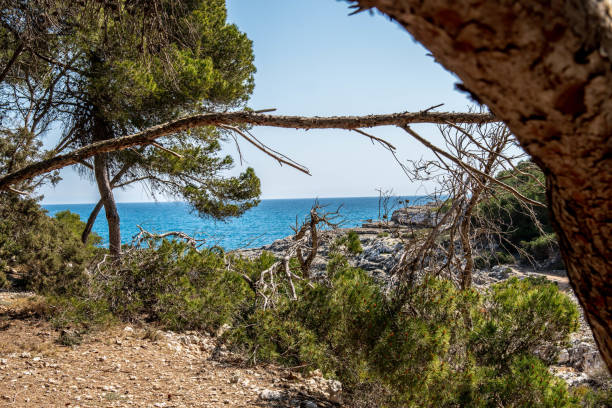 istock Calo d’en Perdiu, Majorca island 1381174245