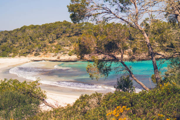istock Calo d’en Perdiu, Majorca island 1381174260