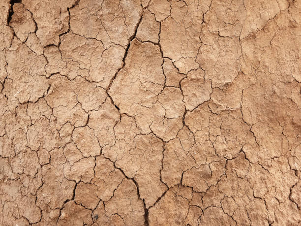 istock The ground has cracks in the top view for the background 1381221461