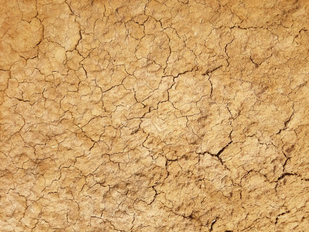istock The ground has cracks in the top view for the background 1381224447