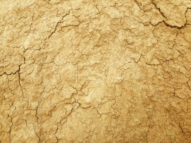 istock The ground has cracks in the top view for the background 1381225603