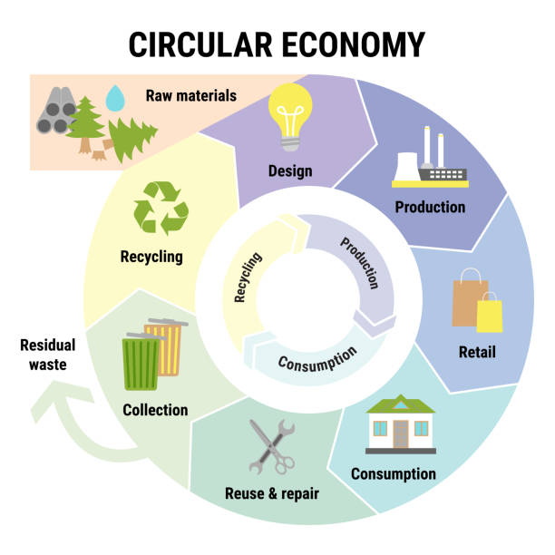 circular economy infographic. sustainable business model. scheme of product life cycle from raw material to design, production, consumption, reusing, collection, recycling. flat vector illustration - atık yönetimi stock illustrations