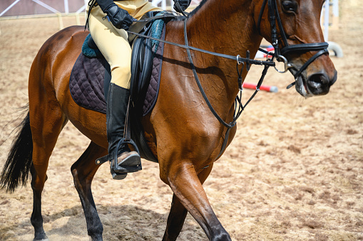 Close-up of unrecognizable equestrian during competition, Nikon Z7