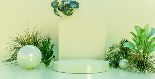 istock Green podium and plant for product presentation 1381235507