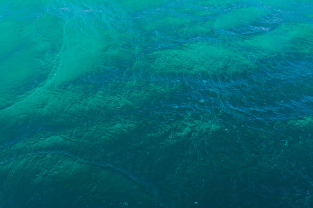 istock Natural sea blue background sparkling clear water 1381237028