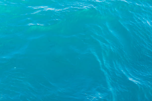 istock Natural sea blue background sparkling clear water 1381239218