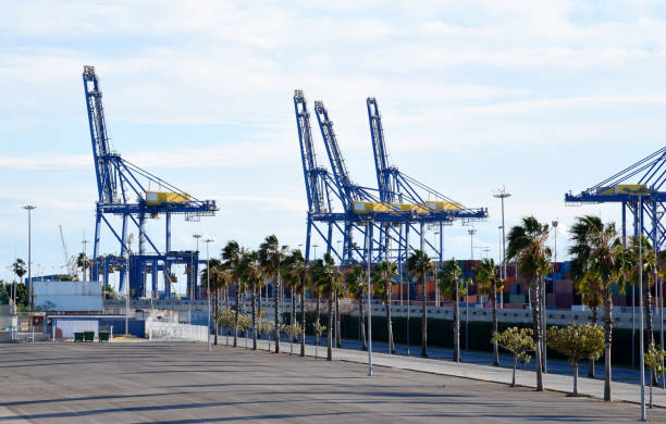 Container crane in seaport for loading and unloading sea containers. Quay crane unload container ship and store shipping containers box in customs warehouse. Delivery logistics of martime container.