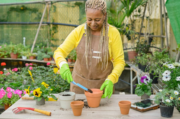 istock African American woman working in hothouse 1381248054