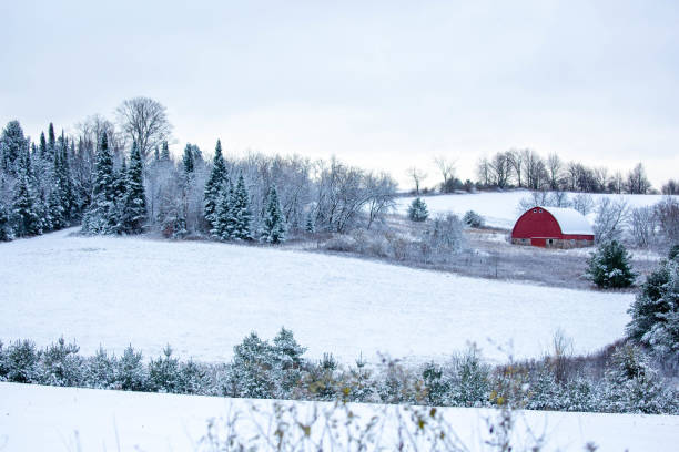 istock Old red barn in a  Wisconsin, snow covered forest 1381252847