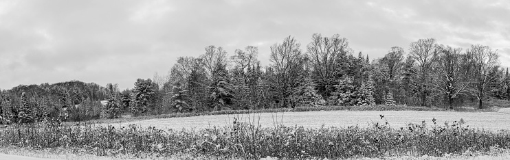 Wisconsin forest and farmland covered with snow, panorama