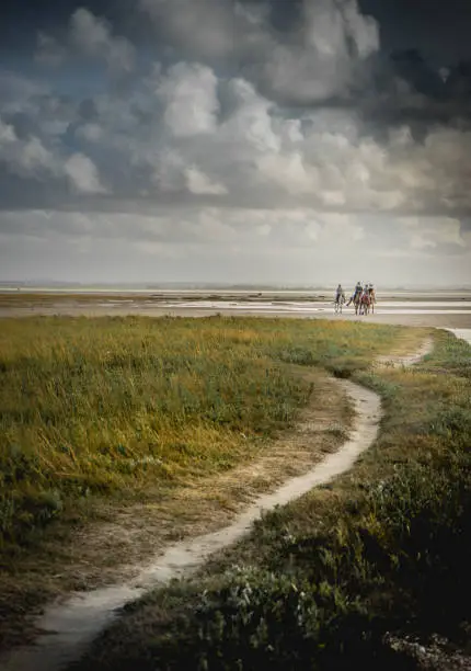 Photo of Promenade à cheval sur la plage