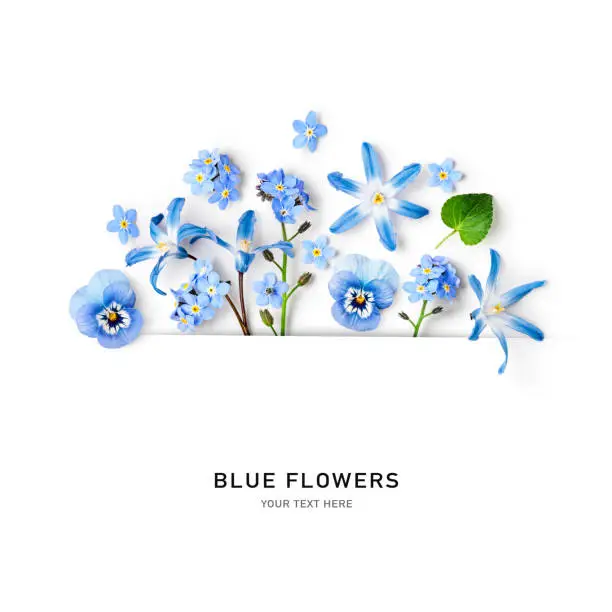 Blue flower creative creative composition and layout. Forget me not, scilla and viola flowers with leaves isolated on white background. Design element. Mother day card. Top view, flat lay