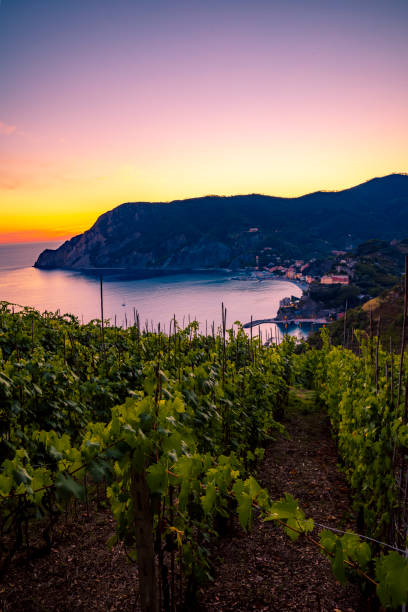 istock Sunset of Monterosso, 5 terre Italy 1381275388