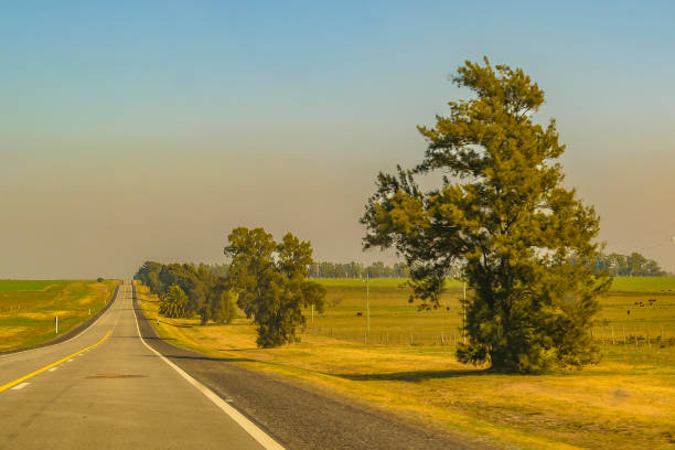 Day outdoor scene at rural highway, flores, uruguay