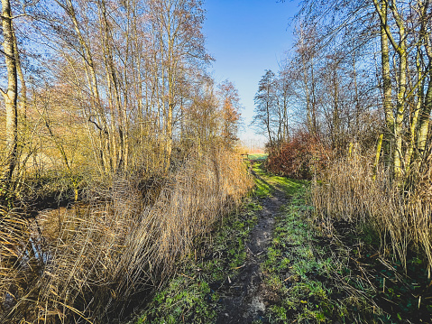 A path next to a stream with a bridge over the stream in sunny weather in winter.