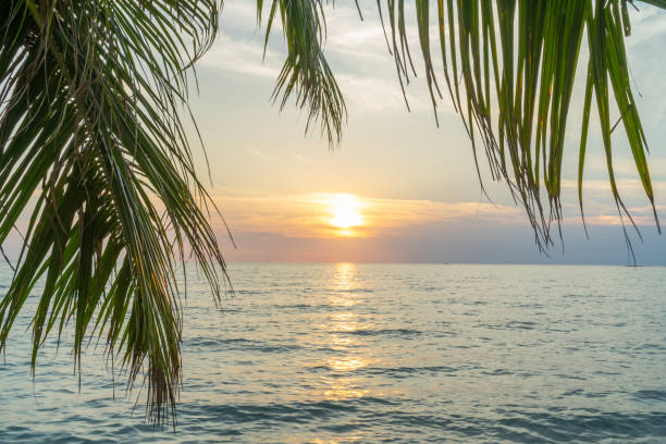 istock Sunset with beautiful sea 1381285025