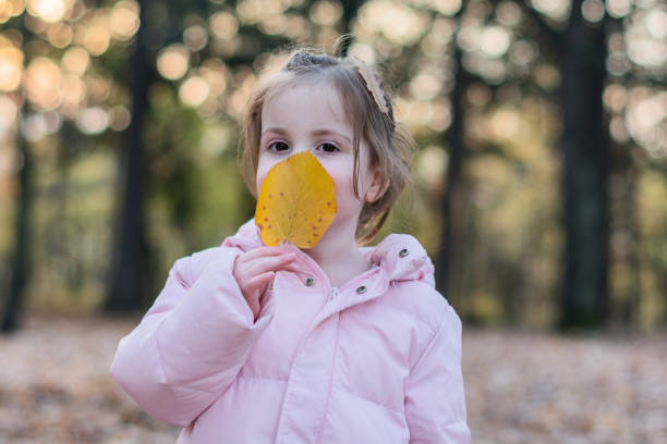 Little girl holding autumn leaf in front of her face in public park