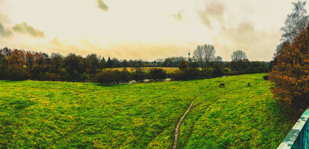 A panoramic picture from a bridge to a field with horses and a river.