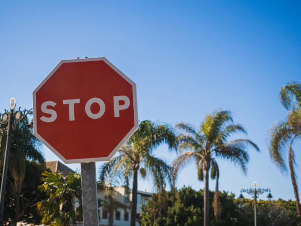 istock STOP traffic sign with palm trees in the background and copy space 1381319313