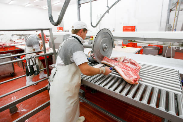A group of worker in meat factory, chopped a fresh beef meat in pieces on work, industry food. stock photo