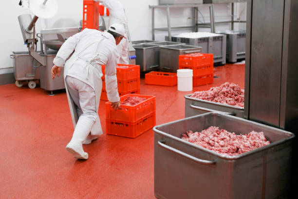 Horizontal view. Worker in meat factory loading a crate with processed meat. Food processing and manufacturing industry. stock photo