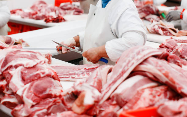 istock A group of worker in meat factory, chopped a fresh beef meat in pieces on work table using knives of industry food. 1381320131